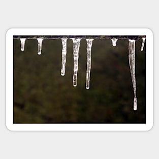 Melting Icicles Sticker